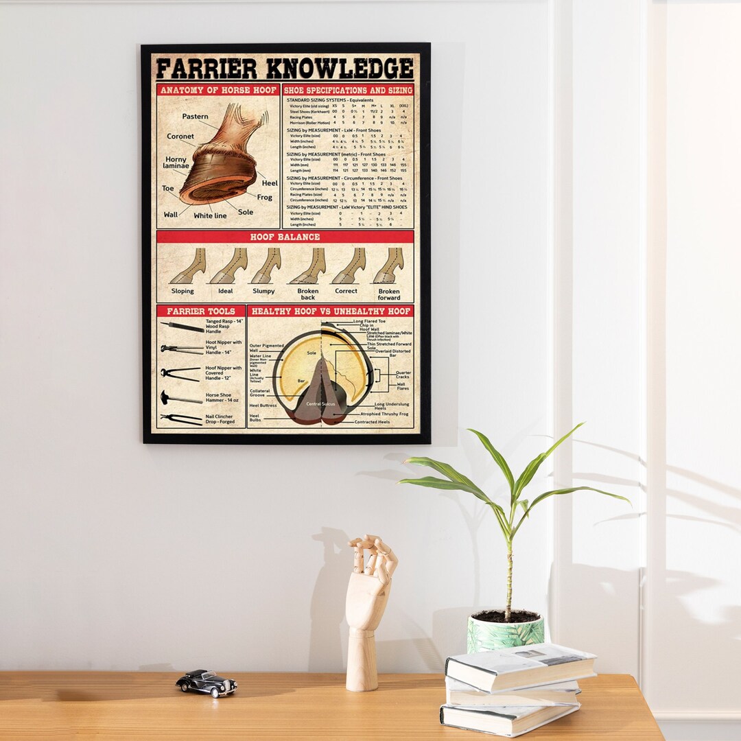 Farrier Knowledge Vintage Poster, Anatomy of Horse Hoof, Farrier Gift
