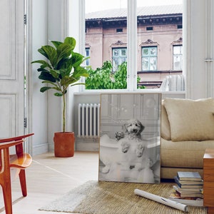 May include: A black and white photograph of a dog in a bathtub with bubbles. The dog is sitting in the tub with its paws on the edge. The photo is framed in a gold frame and hanging on a wall.