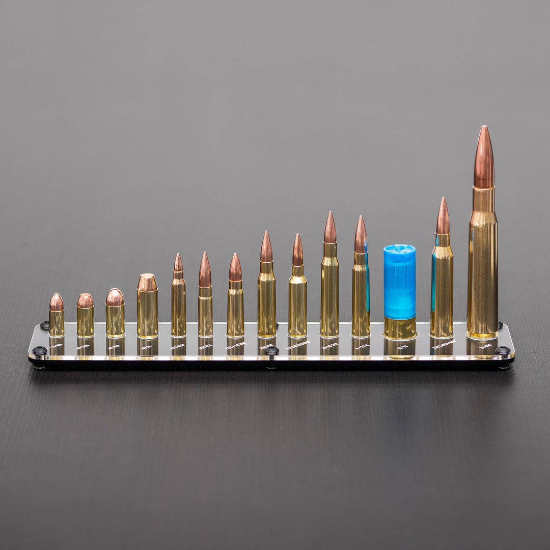 Cartridge Rack V2 Made of PLEXIGLAS® With 14 Magnetic Cartridges of the ...