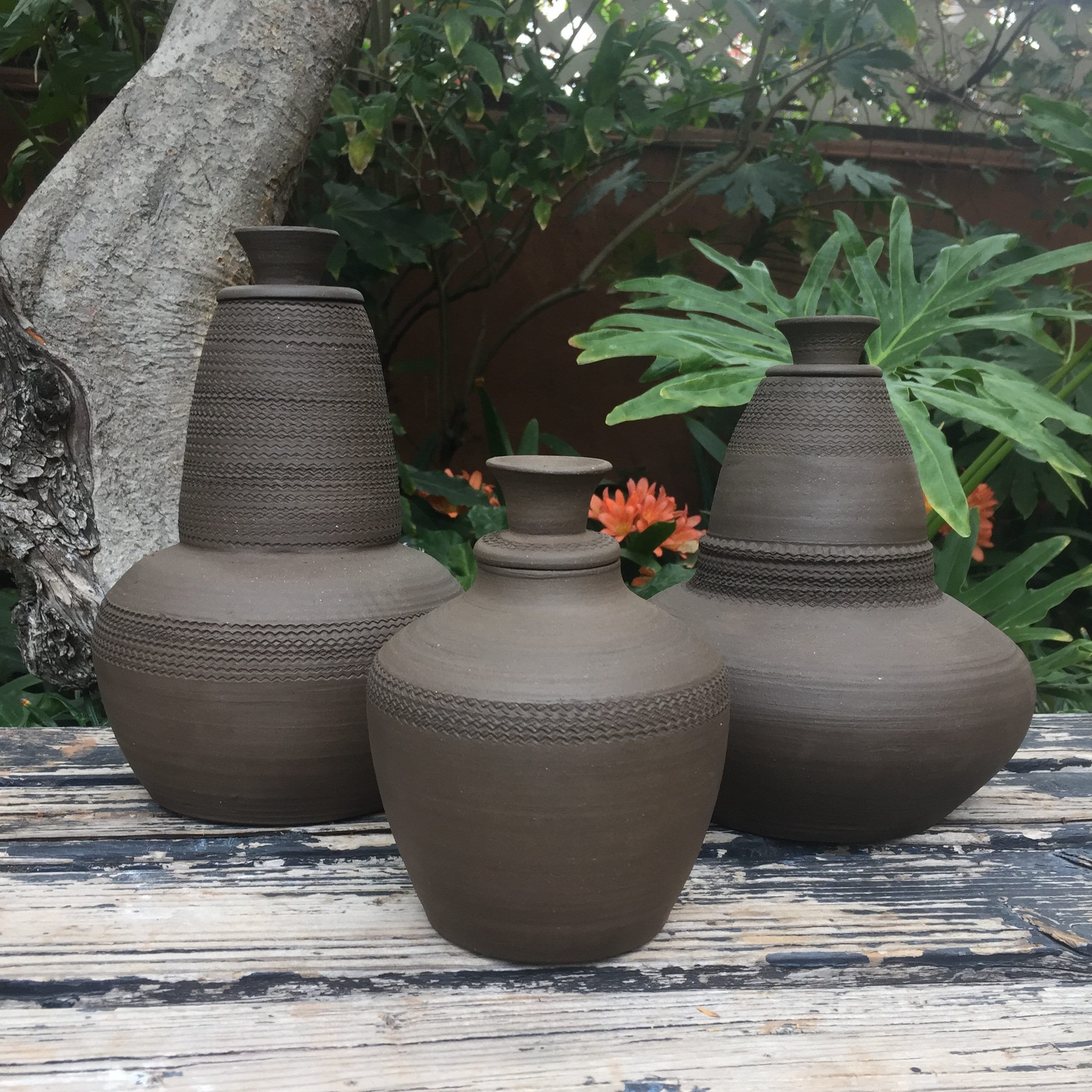 Article: Ollas - Clay Pot Irrigation Systems Plus DIY Homemade Ollas