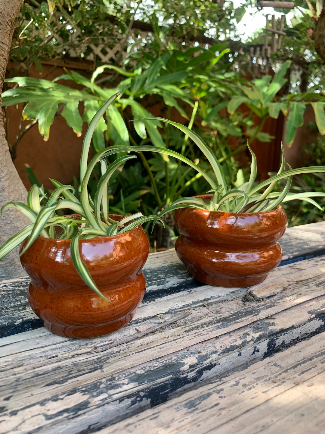 Planter Cache Pot Ceramic Vessel Pottery Garden Plant Etsy