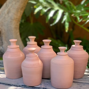 Op de afbeelding: Zes terracotta potten met een textuurontwerp. De potten zijn allemaal even groot en hebben dezelfde vorm en zijn in een rij op een houten oppervlak gerangschikt.