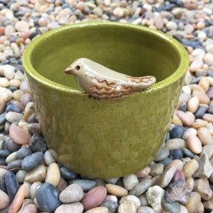 Handmade Ceramic Bird Bowl: Decorative Green Pottery Planter