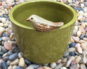Bird Bowl, Birdy Bowl, Nature Bowl, Ceramic, Pottery, Handmade, Gift, Planter, Decorative, Functional, Birdseed
