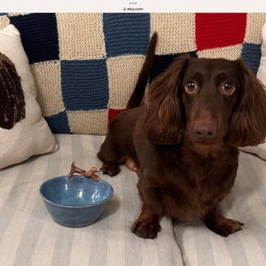 May include: A brown long-haired dachshund sits on a striped cushion next to a blue bowl and a dog-shaped figurine. Two decorative pillows with dog faces are behind the dog. The dog has a long body and floppy ears.