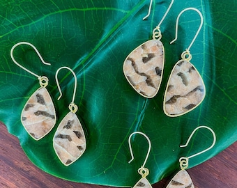 Zebra Jasper & Gold Earrings; Gold Filled Earrings