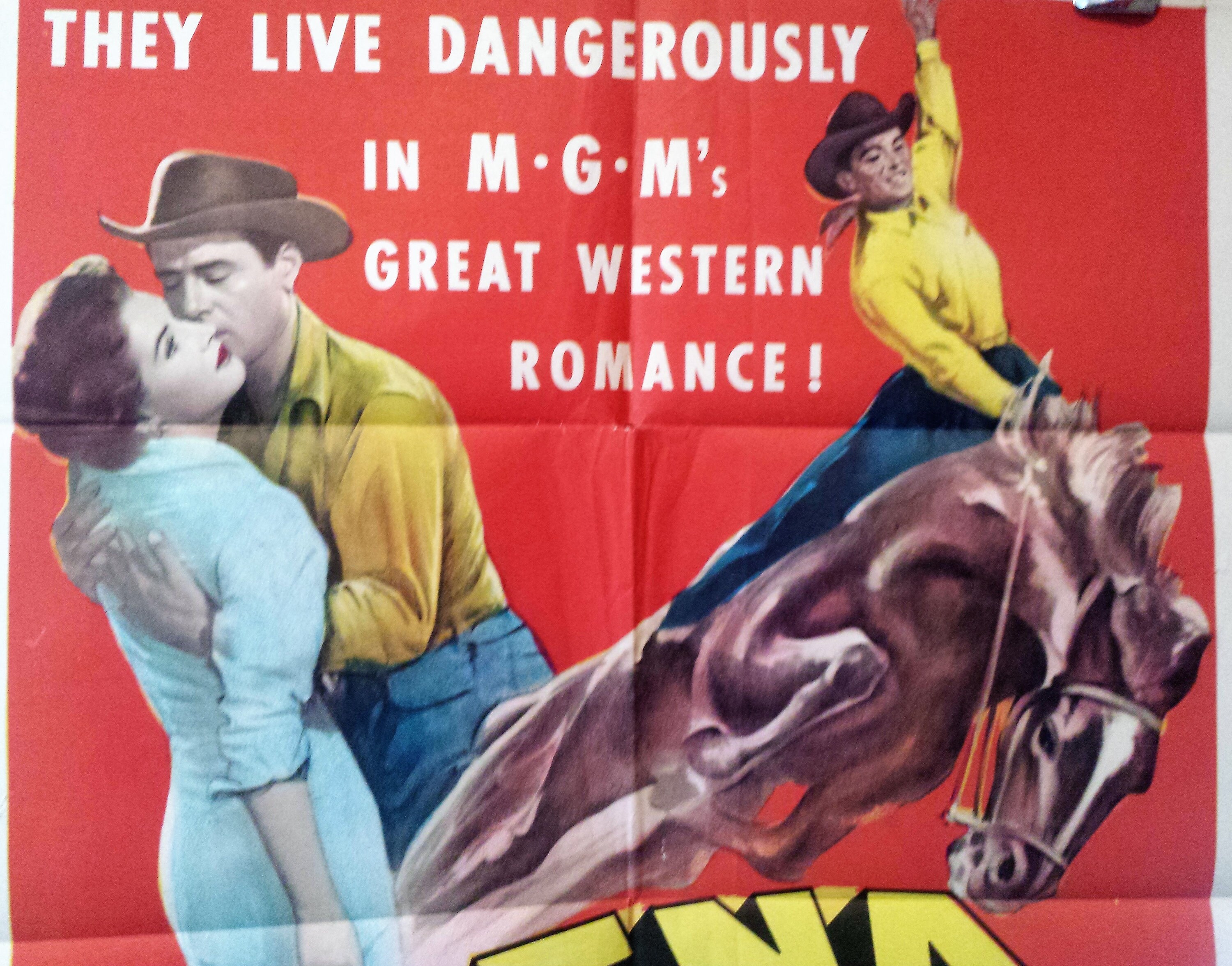 Original Movie Poster, 1953, Arena, USA Quad Size - Etsy