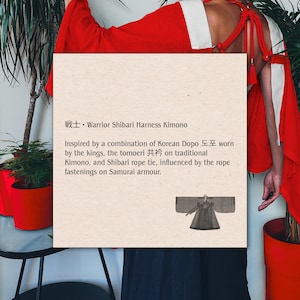 Asian Inspired Shibari Harness Robe Jacket • Backless Kimono • Chinese ...