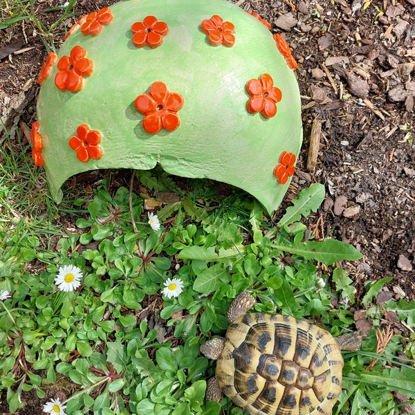 Grottes de tortues en céramique
