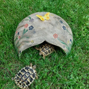 Ceramic turtle caves