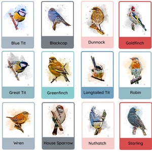 A5 Digital Art Print Set - You Choose