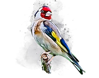 Charm of Finches I - Nature Inspired Art Print // A3 or A2 Large
