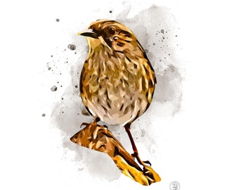 Lámina artística de acentor común A5