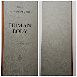 Philips 'Anatomisches Modell des menschlichen Körpers , William Furneaux, George Philips & Son, 1958, Buch