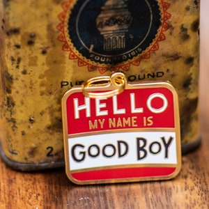 Hello My Name is Good Boy Pet Charm image 1