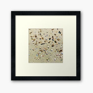 Seashells on the Seashore, Siesta Key Beach, Florida Digital Photograph - Printable Download