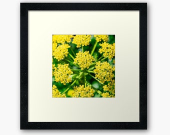 Tiny Yellow Green Flowers Close Up Digital Photograph - Printable Download