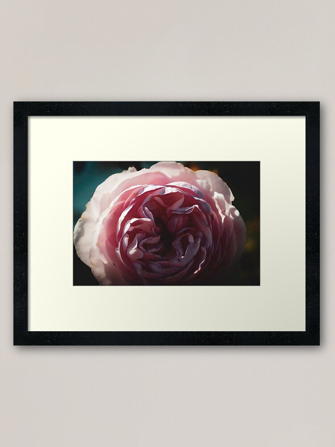 Dark Moody Passion Pink Rose Digital Photograph - Printable Download - Etsy