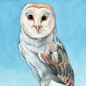 Barn Owl Print, Owl Print, Art Print of Original Watercolor Painting, 11 X 14, Owl Art, Bird Art, Bird Wall Decor