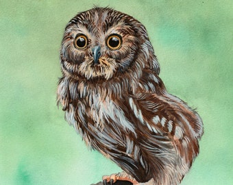 May include: A watercolor painting of a brown and white owl with large yellow eyes perched on a dark brown branch against a light green background. The owl is looking directly at the viewer. The painting is signed "ERICA WOLFE 2012" in the lower right corner.