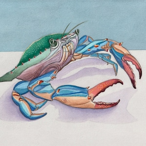 Blue Crab Print, Maryland blue crab, Art Print of Original Watercolor Painting, image size 8 X 10, Beach Wall Decor