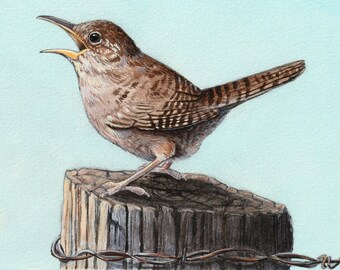 Wren Print, House Wren, Bird Art, Print from an Original Watercolor Painting, image size: 5 X 7, Bird Wall Decor