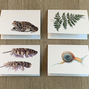 Naturnotiskortset, blandat naturkonstbrevpapper presentset
