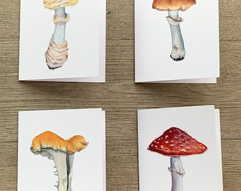 Mushroom Note Card Set, mixed mushroom art stationery gift set