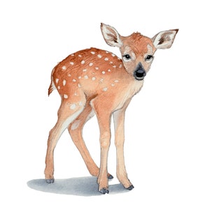 Baby Deer Print, Fawn Print, Art Print of Original Watercolor Painting, 8 X 10, woodland nursery decor, woodland animal print
