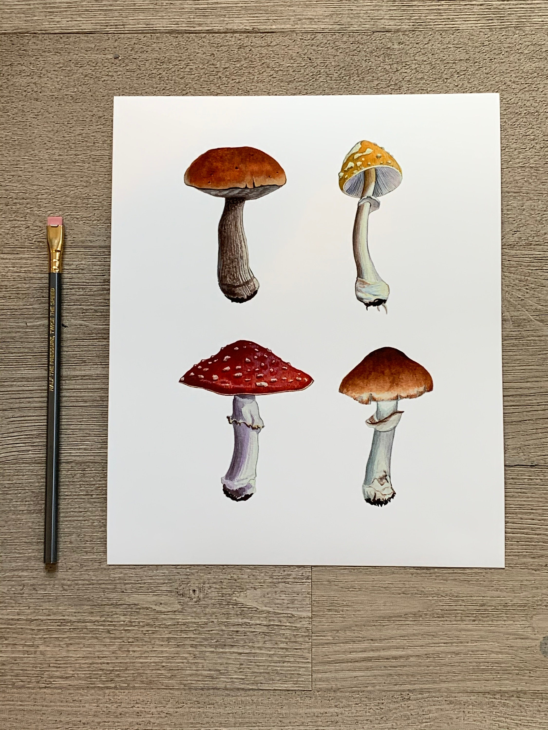 Buy Mushroom Print, Four Mushrooms, Art Print of Original Watercolor