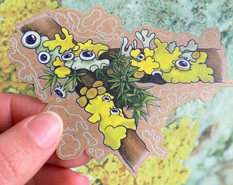 Sticker globe oculaire lichen mousse : papier kraft biodégradable