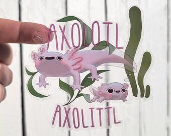 Axolotl et Axolittle | Autocollant transparent