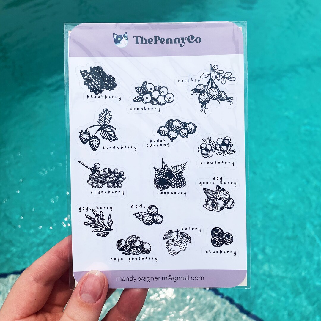 Berries Sticker Sheet | Hand Drawn Berry Varieties | Berries Doodle Art ...
