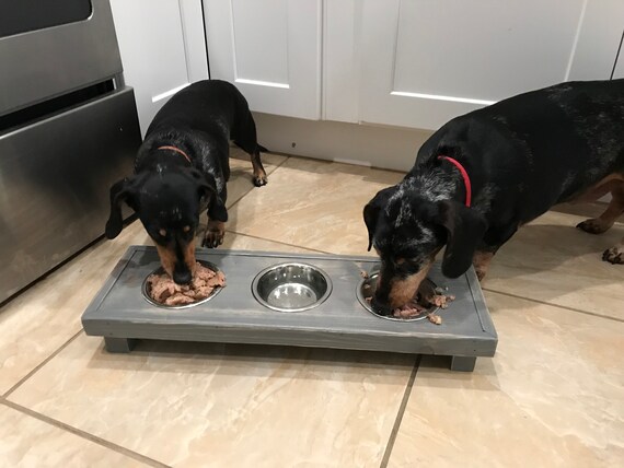 etsy dog feeder