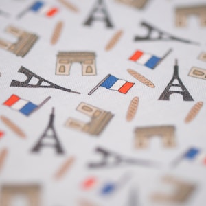Paris print dog collar