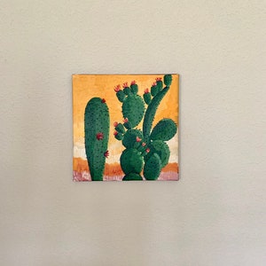 Sunset Cactus