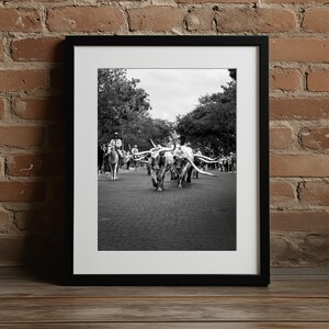 Fort Worth Stockyards Cattle Drive Photo: Texas Longhorn Art Print | Unframed