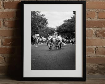 Fort Worth Stockyards Cattle Drive Photo: Texas Longhorn Art Print | Unframed