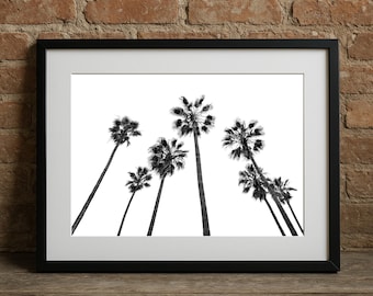 California Palm Tree Wall Art | Black and White California Vibe Photography