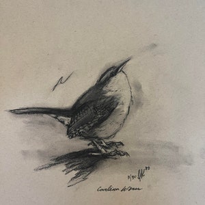 Carolina Wren Original Charcoal Drawing - Printable PDF