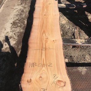 Curly Walnut Wood Slab. 12 Foot Walnut Wood Slab. Long Wood Slab Table. Wood  Slab Coffee Table. Live Edge Wood Slab. 