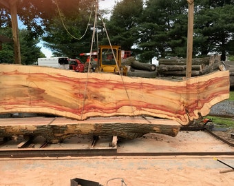 19 Foot wood slab for Bar Top