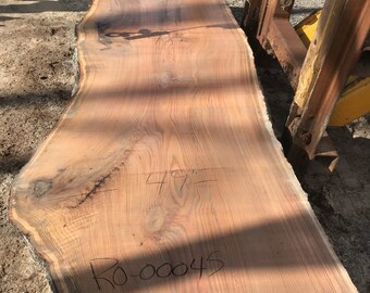 Red oak live edge 12 foot wood slab. Red oak live edge desk or table