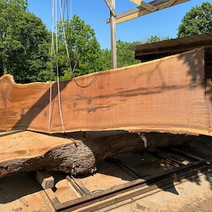 GIANT white oak wood slabs