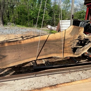 English Walnut live edge wood slabs
