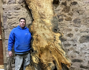 May include: A large, natural wood slab with a unique grain pattern and a dark brown center. The slab is leaning against a stone wall and a person is standing next to it for scale.
