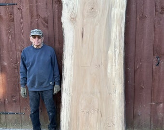 8 Foot Sycamore Live Edge Wood Slab