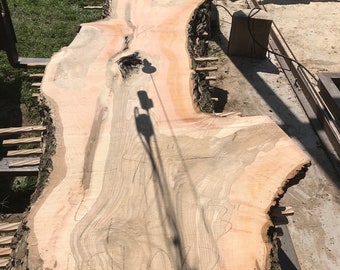 13 Foot Live edge table
