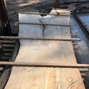May include: A large piece of wood with a natural wood grain. The wood is being prepared for woodworking. The wood is 24 inches wide and has a 7.6% moisture content. The wood is labeled "ASM-0019".