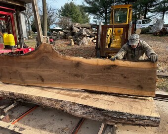 English walnut wood slab